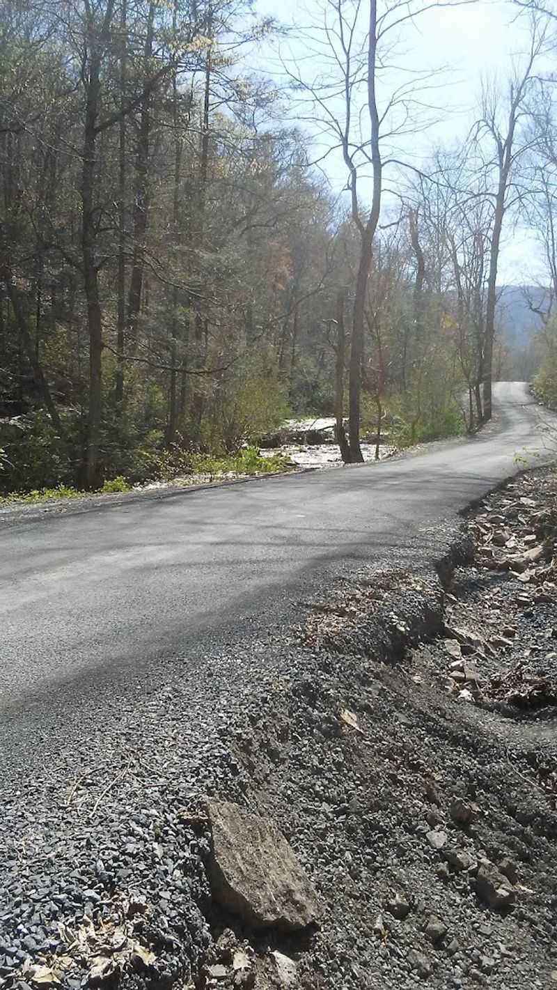 Waterwheel Restaurant's Famous Pie