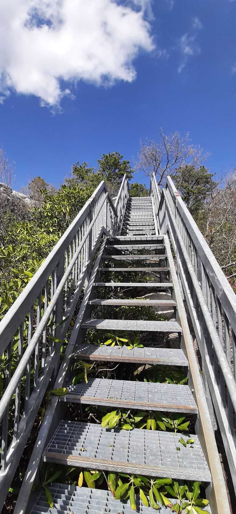 Climbing Two Hundred Steps To The Sky