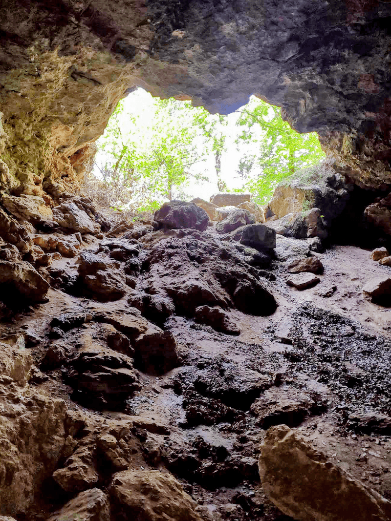 The Easy Accessibility For Different Mobility Levels