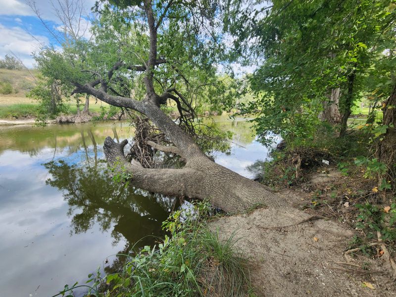Koenig Park And Its Peaceful Green Spaces