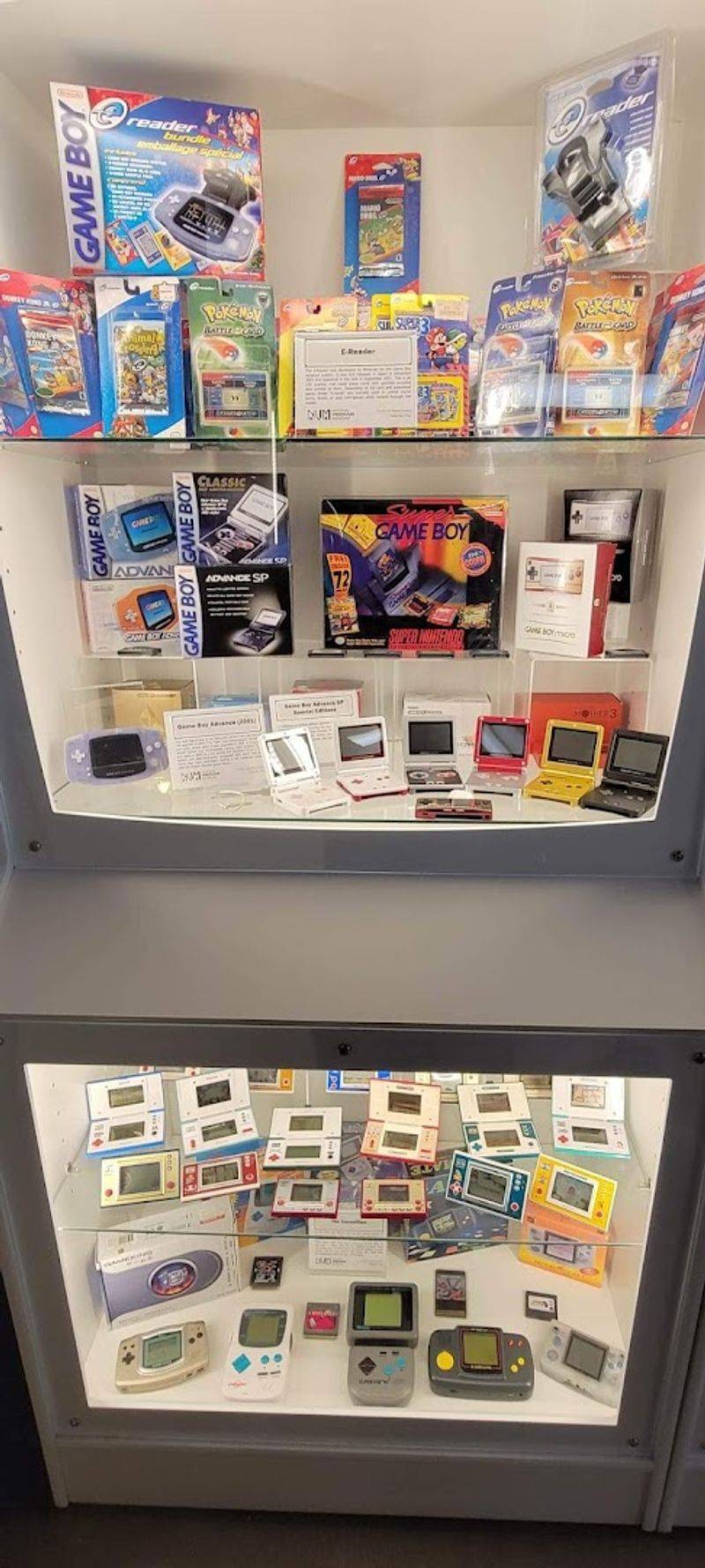 The Pokemon and Rotating Special Exhibits