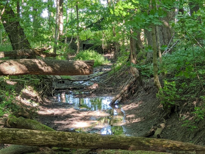 Year-Round Access With Something Different Every Season