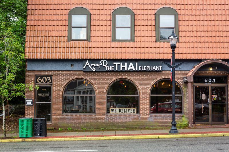 Aroy-D, the Thai Elephant