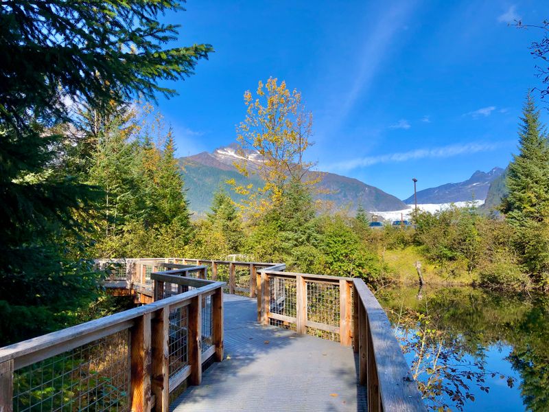 A Quiet Handshake With The Wild