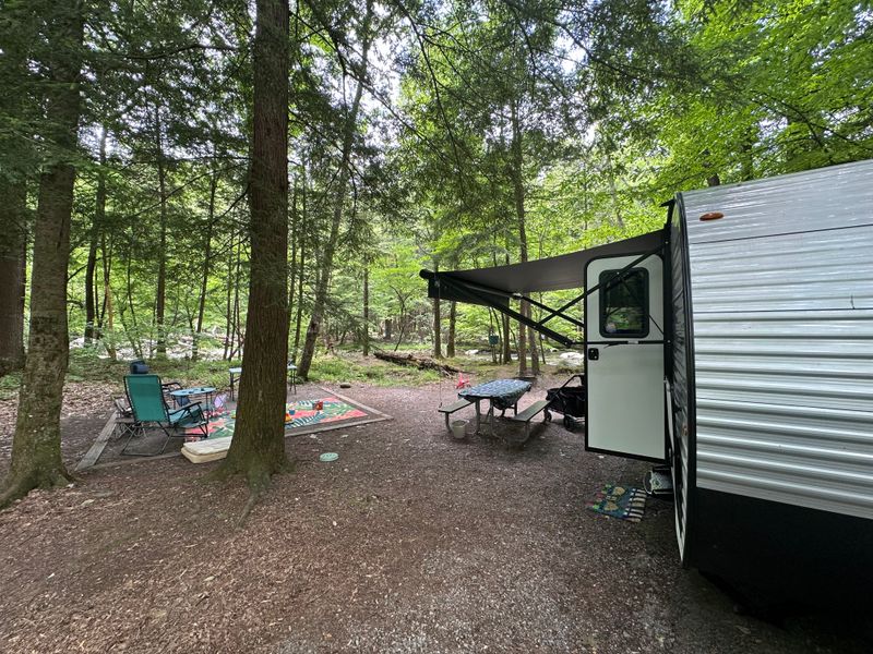 Slow Looking Pays Off