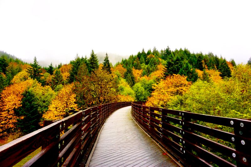 Thirteen Historic Bridge Crossings