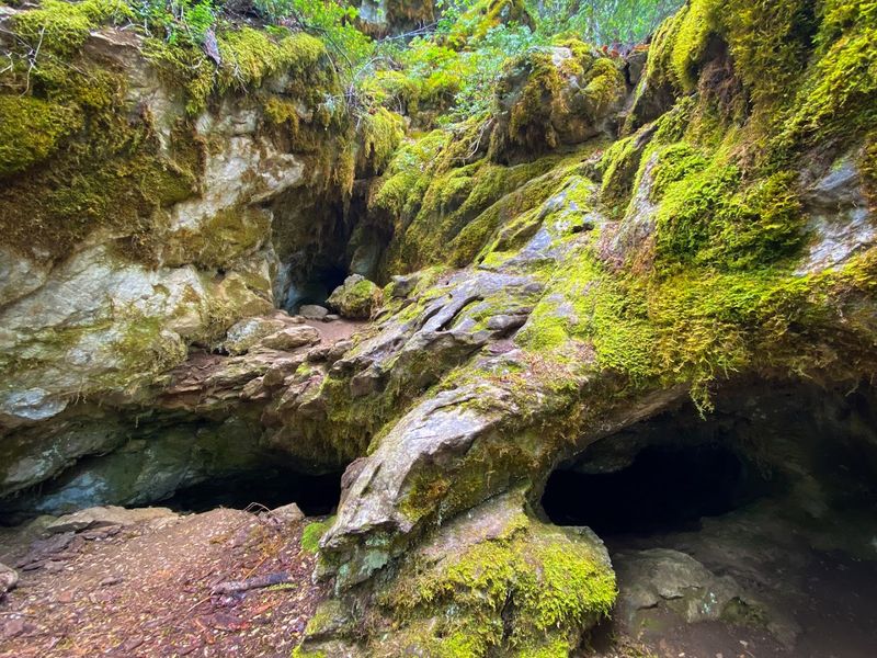 Physical Preparation: What the Tour Actually Demands