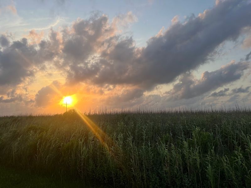 Watching the Sunrise and Sunset Over the Gulf