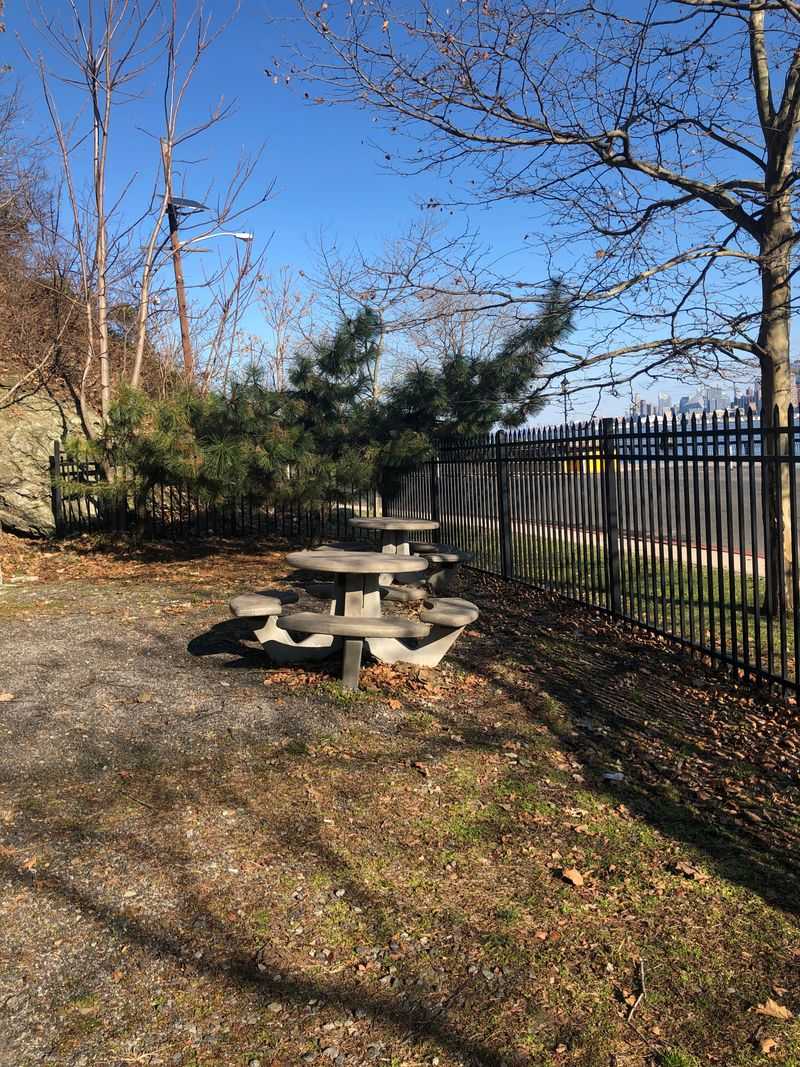 The Restaurant That Fed Curious Tourists