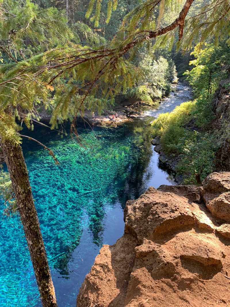 The Scenic McKenzie River Trail Hike