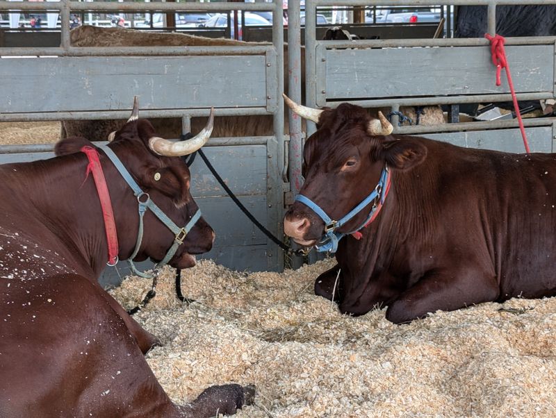 Agricultural Roots Still Anchor Everything