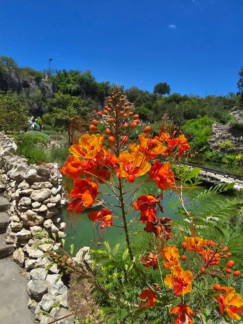 Seasonal Changes and Year-Round Beauty