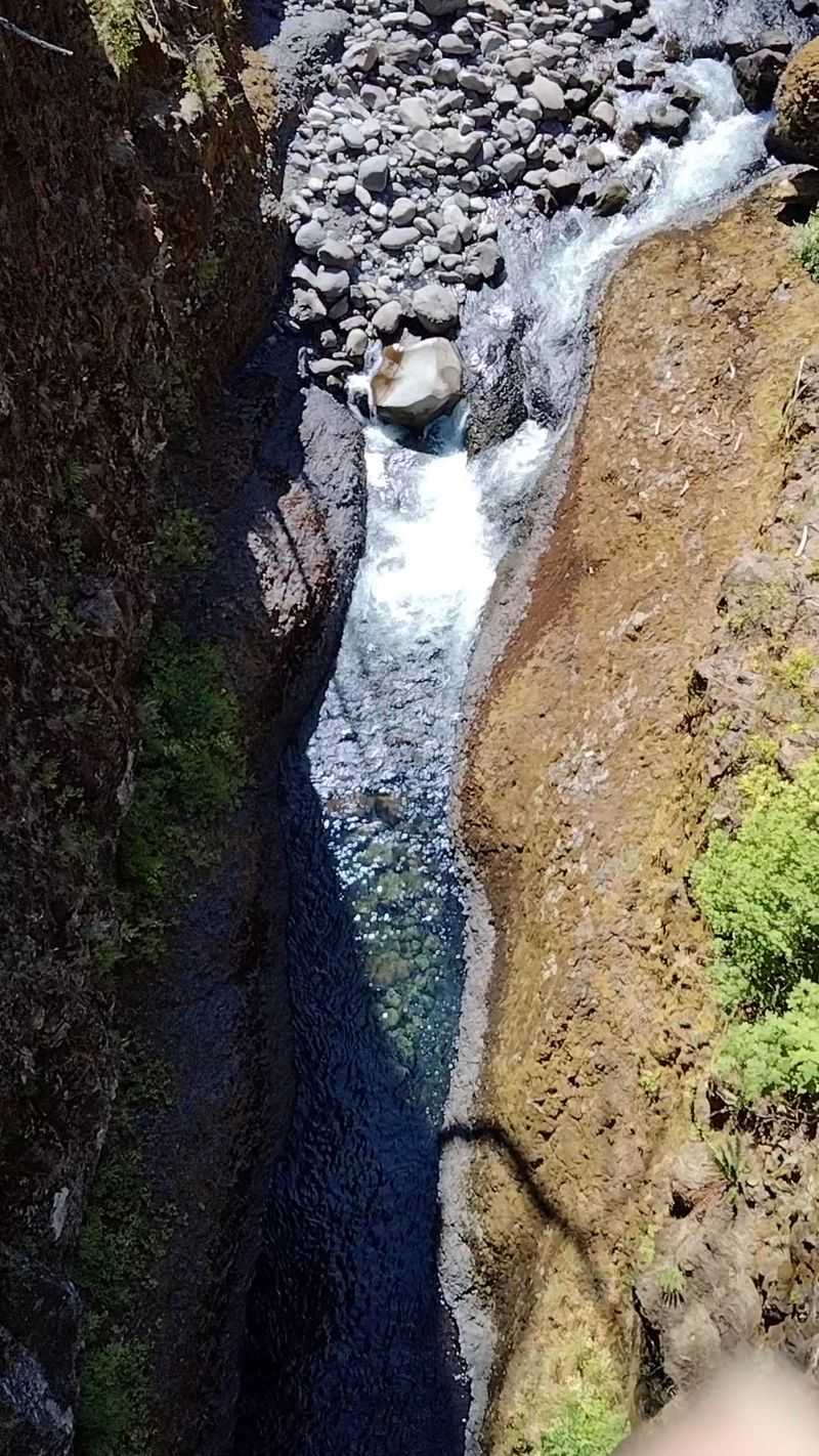 The Eagle Creek Gorge Views That Steal Your Breath