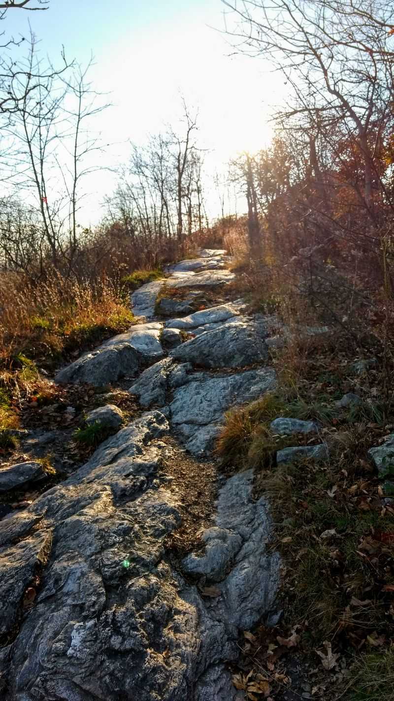 The Appalachian Trail Connection That Makes Hikers Giddy
