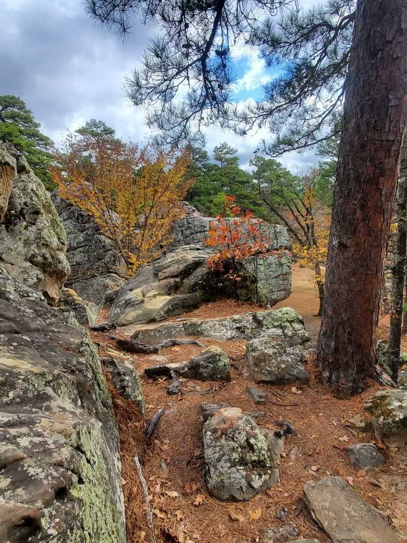 Life as an Outlaw in the Hideout