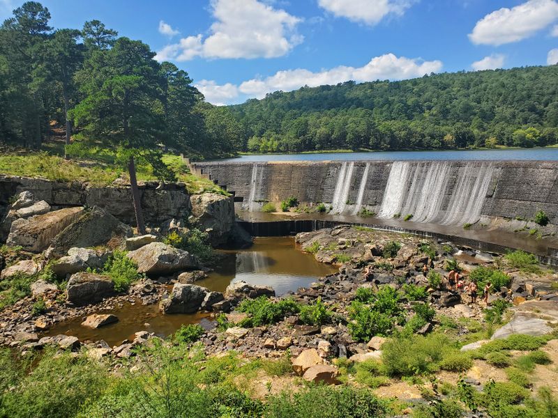 Parking Lots That Ate The Forest