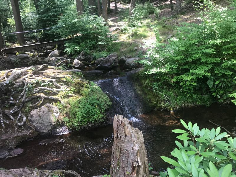 The Peaceful Tillman Trail Alongside Buttermilk Creek