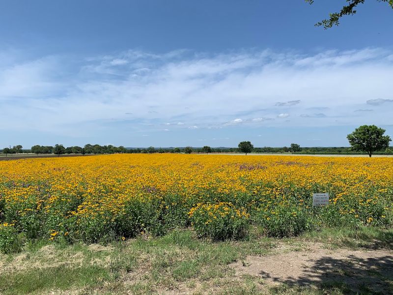 Seasonal Highlights That Change Every Visit