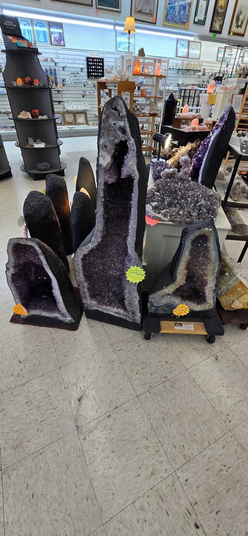 The Bizarre Oddities Section That Defies Description