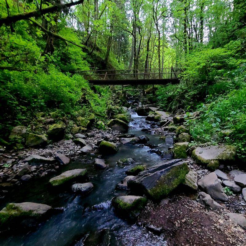 Getting There: An Accessible Urban Hike