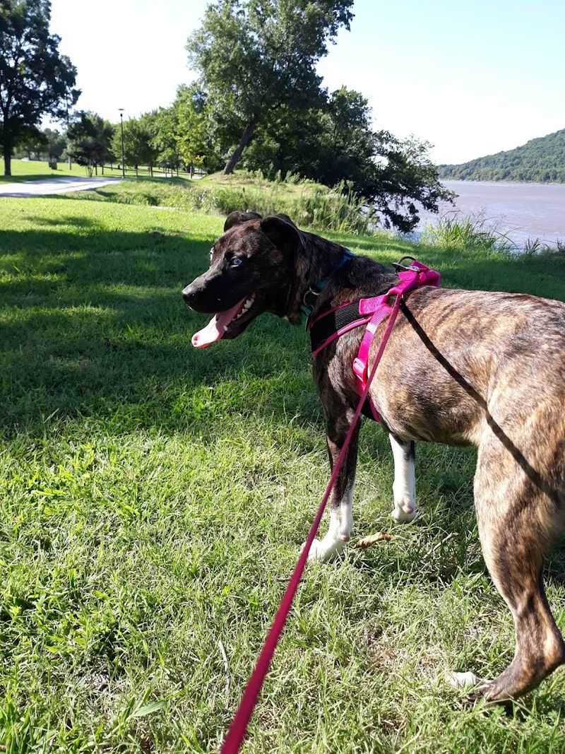 River Parks Trail, Tulsa