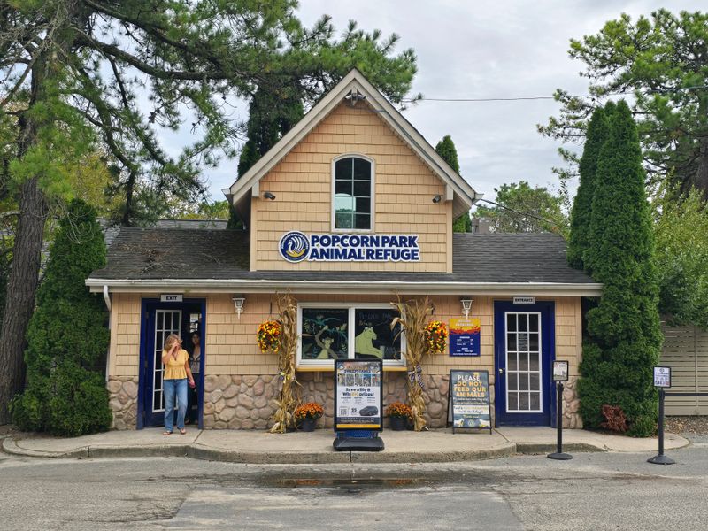 The Dedicated Staff Who Make Magic Happen Daily