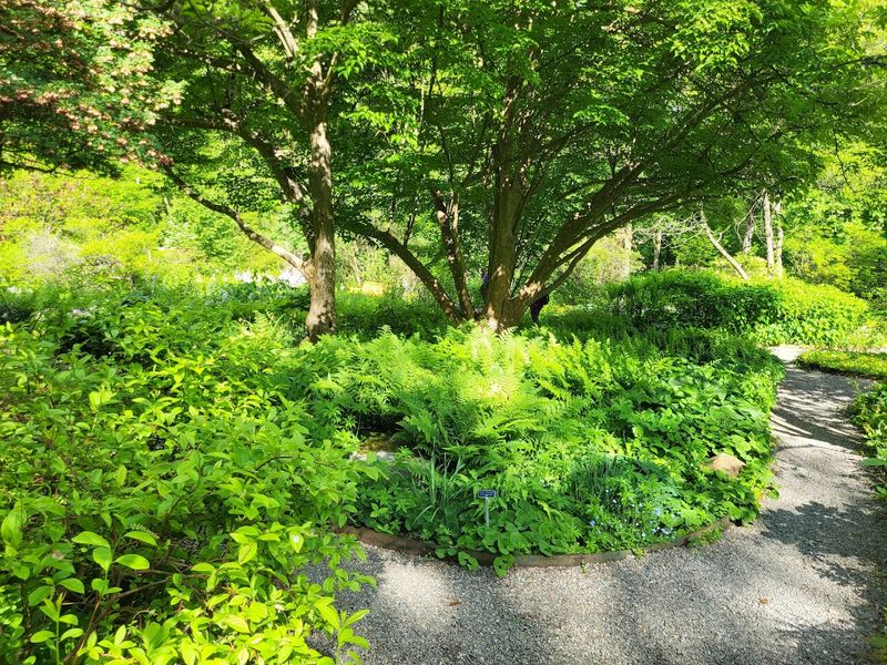 Wandering the Walkways at Your Own Pace