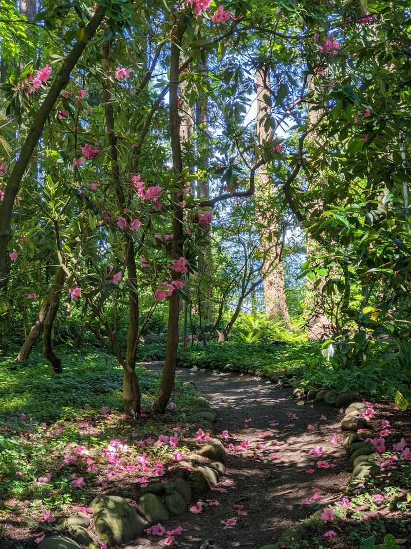 An Urban Oasis That Feels Miles From Civilization