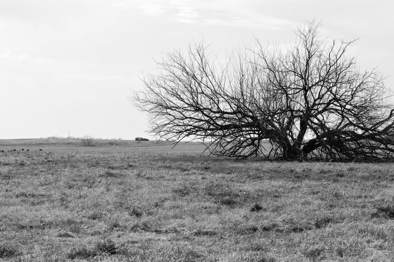 The Feeling You Can't Quite Name