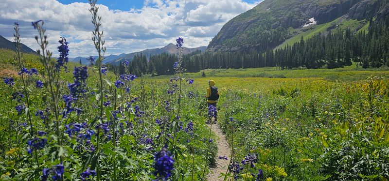 Leave No Trace Habits That Keep Colorado Meadows Looking Unreal