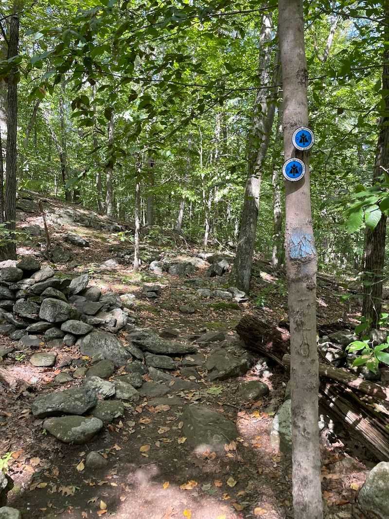 Finding Turkey Mountain Before It Changes More