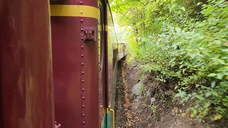 Seasonal Magic Throughout the Year