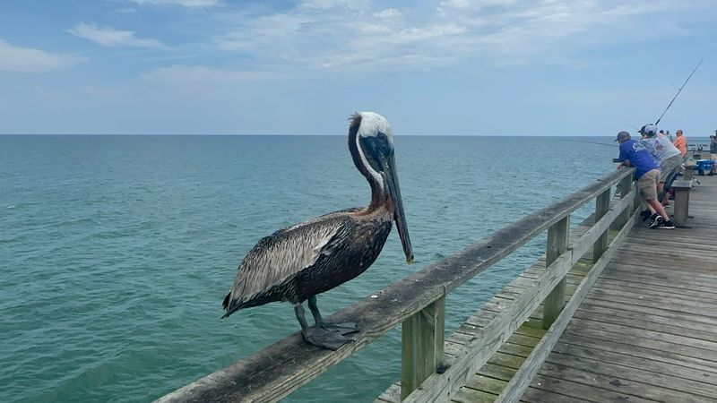 Line-Crossing Chaos And The “Who Hooked Who” Blowups