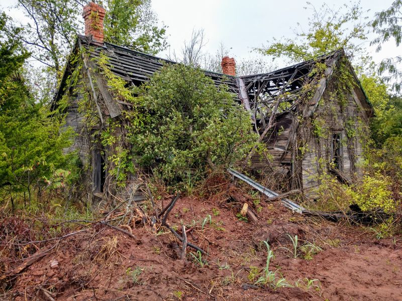 Population Numbers Tell the Stark Story