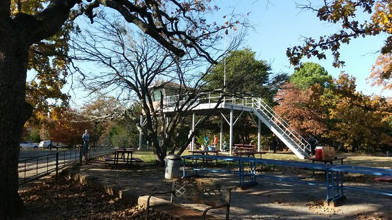 History Survives When People Keep It Moving