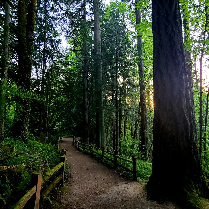 The Columbus Day Storm That Changed Everything