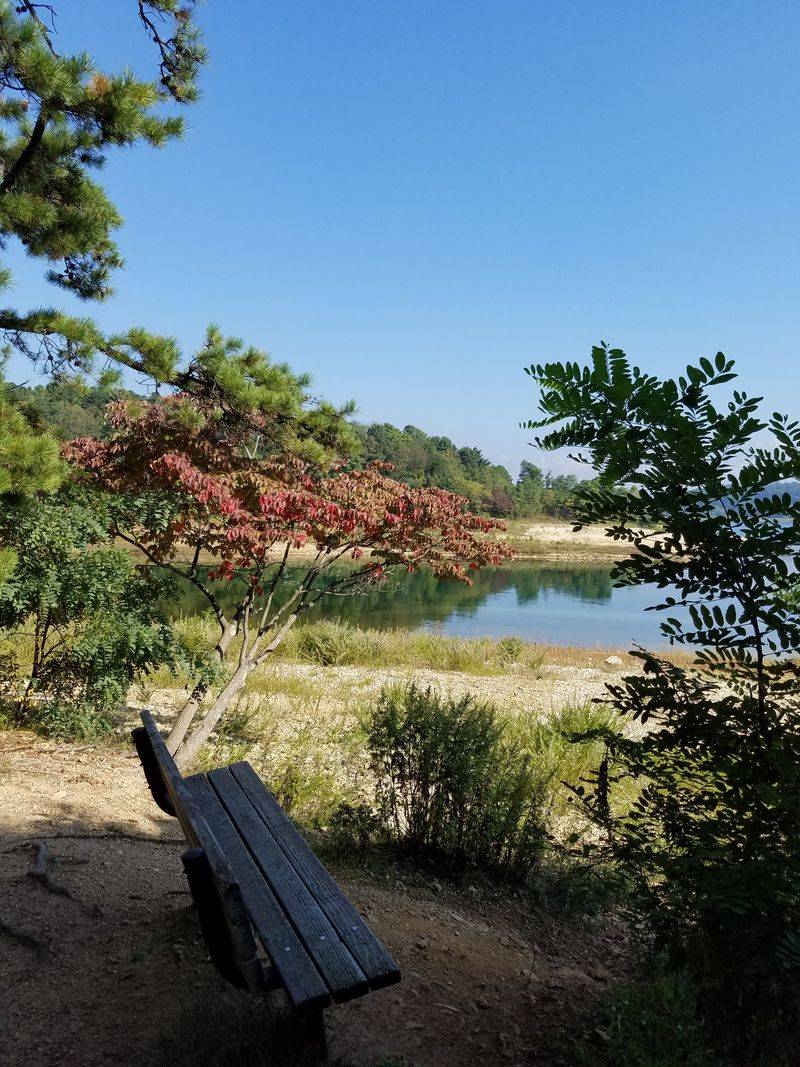 Unpredictable Weather Patterns