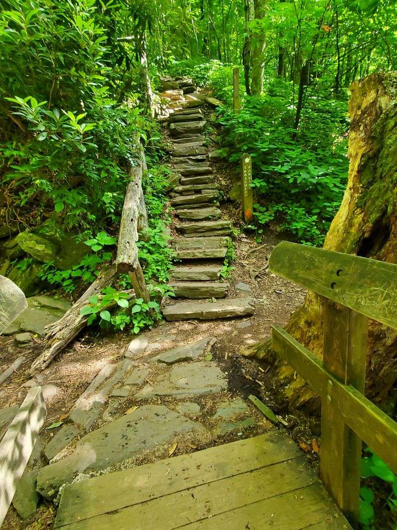 Manageable Distance With Serious Elevation