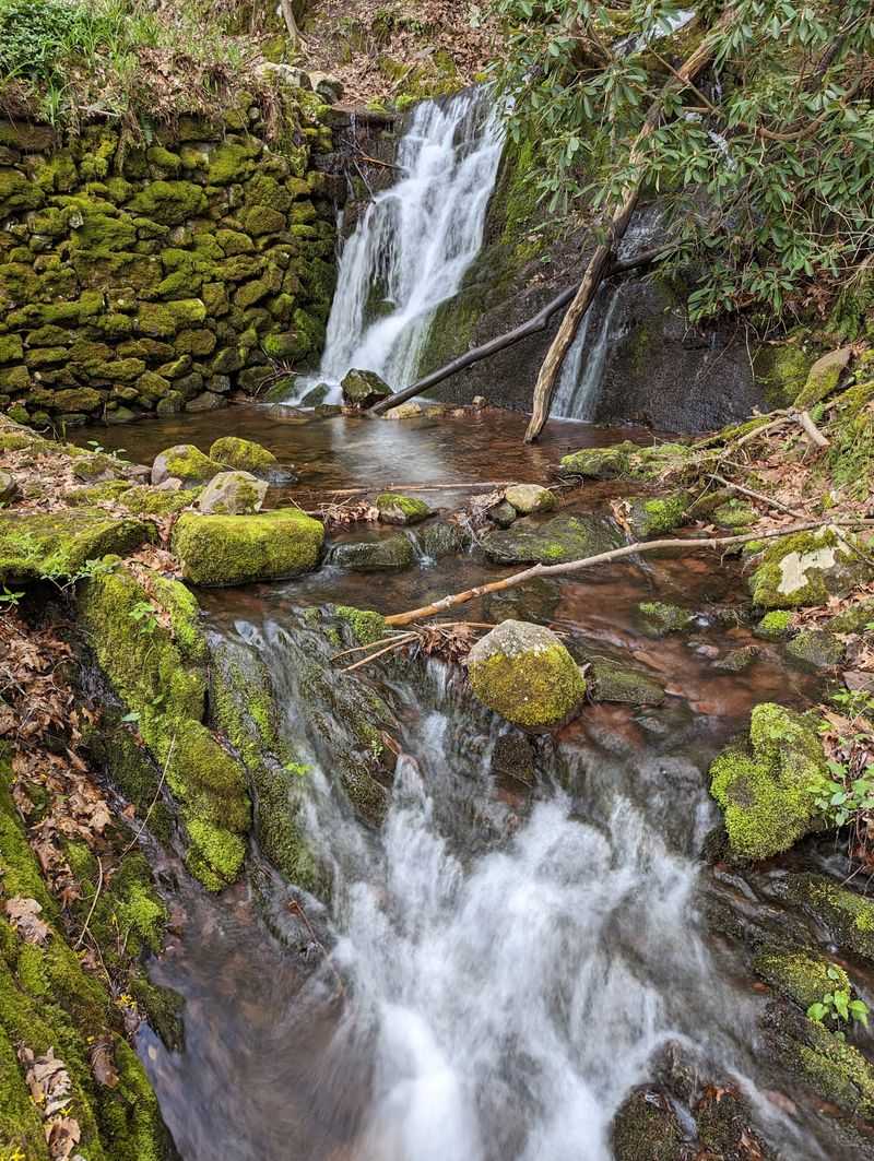 Wildlife Encounters Along the Way