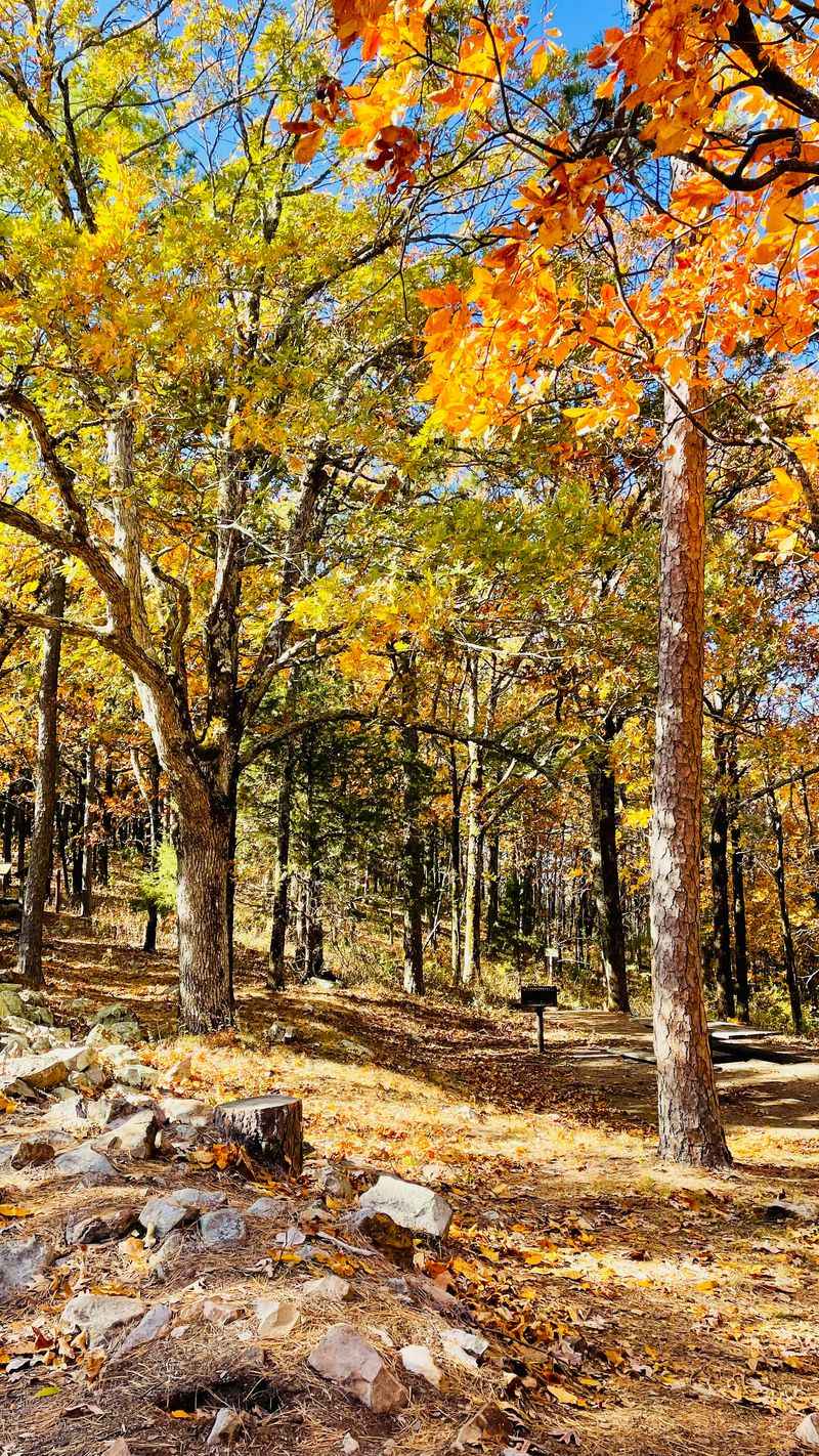 Wildlife Sightings Add Excitement to Your Journey