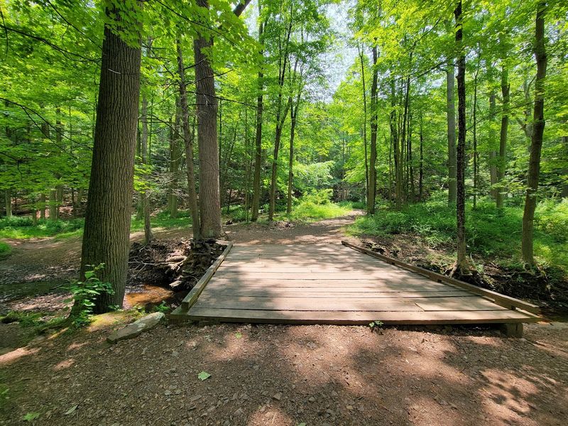 Hiking The Trail Through Time