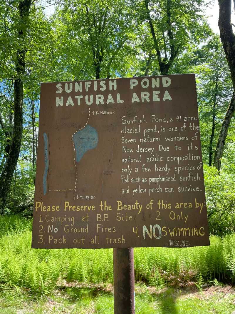 Sunfish Pond Southern Shore