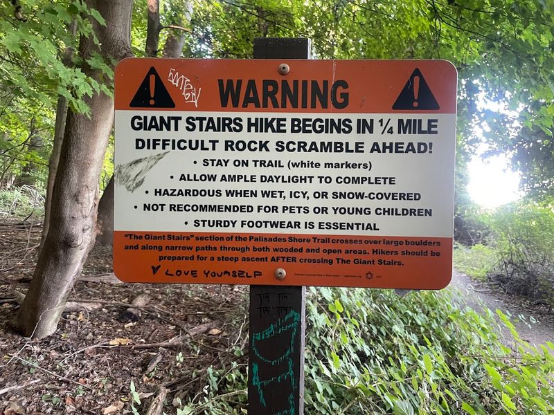 The Descent That Sets the Tone