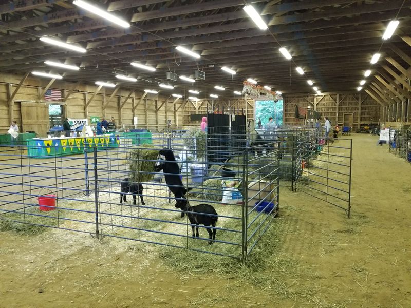 Hillsborough County Fairgrounds Quiet Barn Door Myths