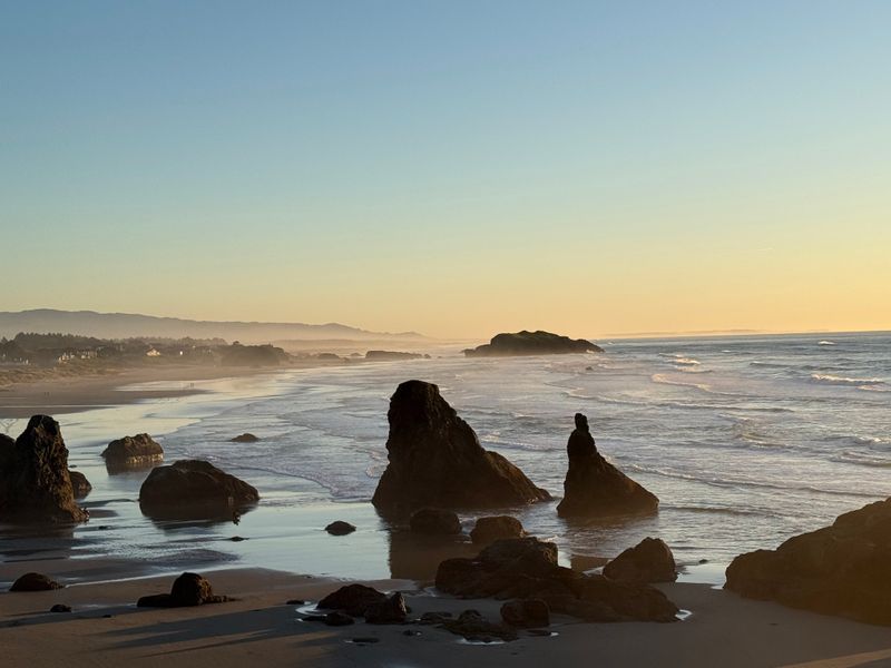 The Ghost Forest That Appears Only in Winter
