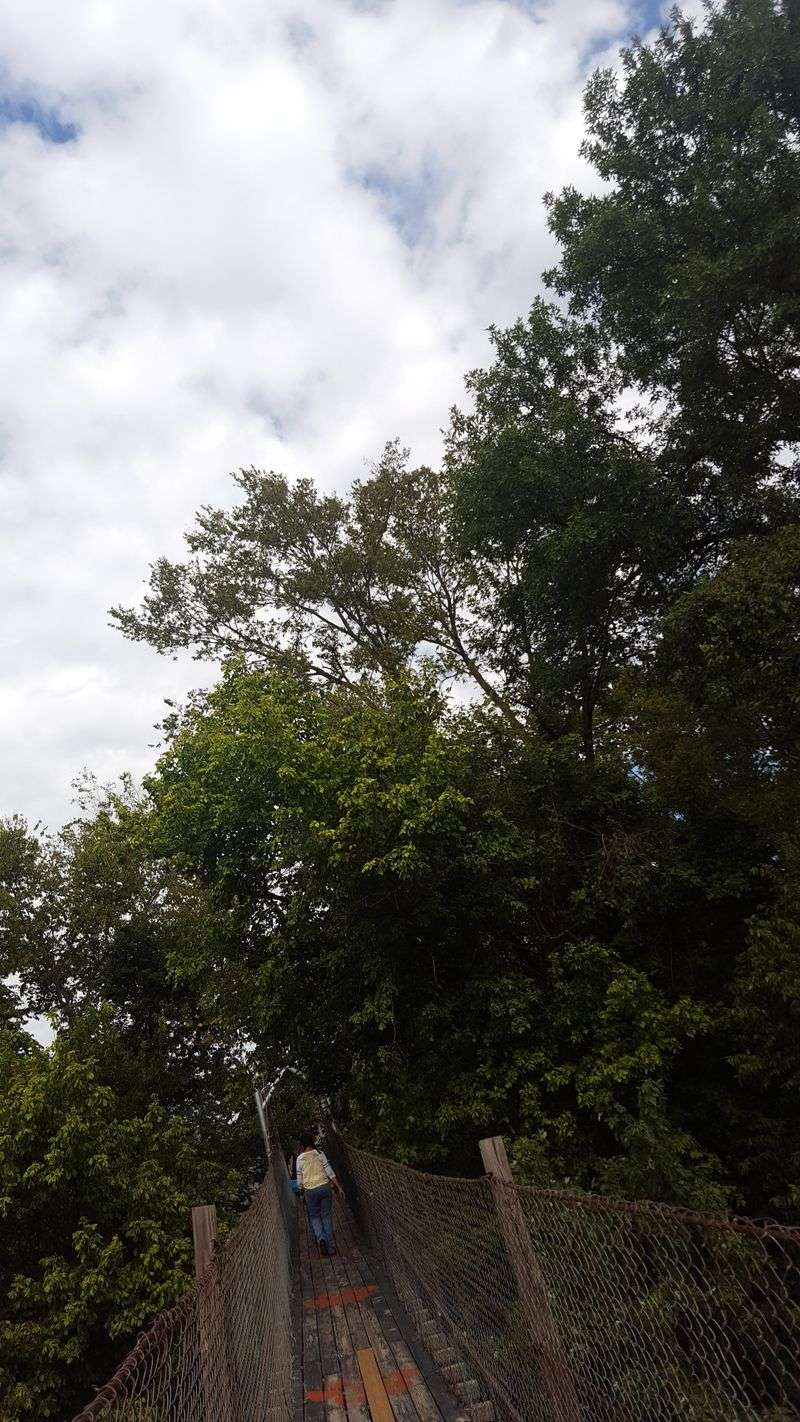 How Weather Changes Everything