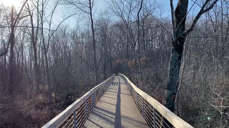 Year-Round Accessibility That Makes Every Season Worth Exploring