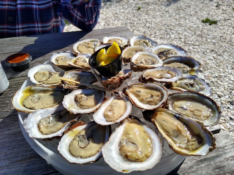 Oysters Harvested Fresh Every Single Morning