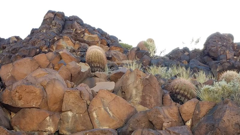 Gold Butte National Monument Rock Art Sites
