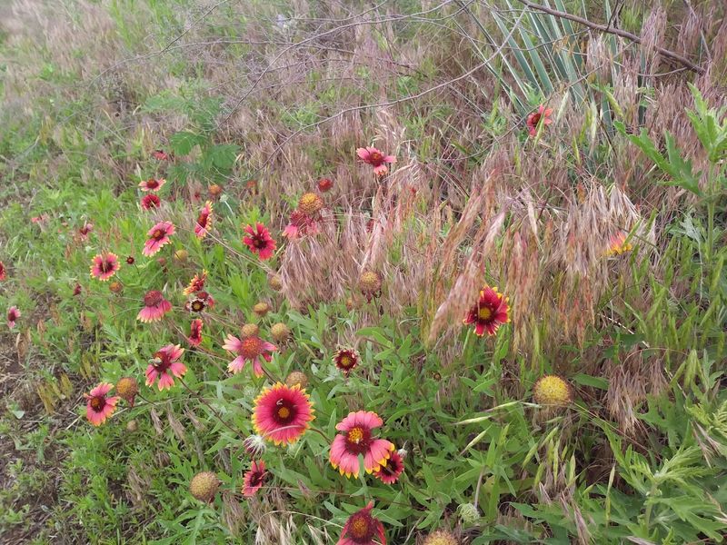 Getting There Is Half The Adventure